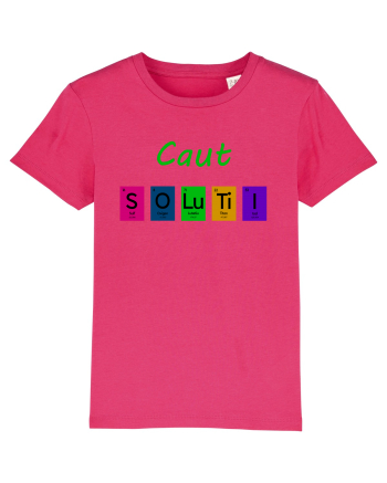 Caut Soluții Raspberry