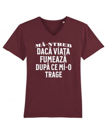 Ma-ntreb daca viata fumeaza dupa ce mi-o trage Burgundy