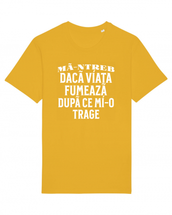 Ma-ntreb daca viata fumeaza dupa ce mi-o trage Spectra Yellow