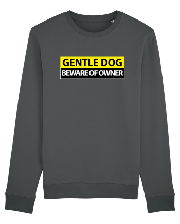 GENTLE DOG BEWARE OF OWNER Anthracite