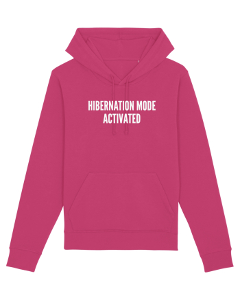 HIBERNATION MODE ACTIVATED Raspberry
