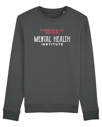 Mental Health Institute Anthracite