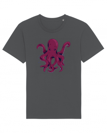 Octopus friend Anthracite