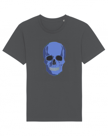 Deliric skull Anthracite