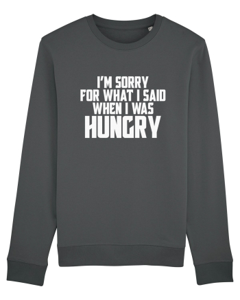 I'M SORRY FOR WHAT I SAID WHEN I WAS HUNGRY Anthracite