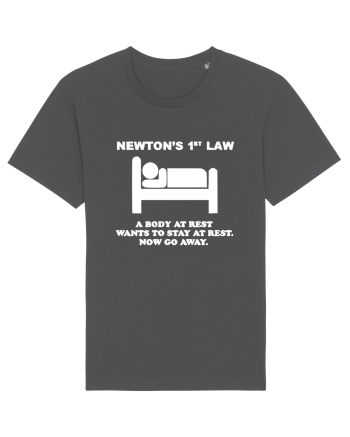 Nuton's 1st Law Anthracite