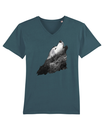 Wolf howling Stargazer