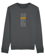 FOLLOW YOUR HEART BUT DON`T BE STUPID Bluză mânecă lungă Unisex Rise