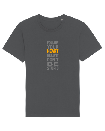 FOLLOW YOUR HEART BUT DON`T BE STUPID Anthracite