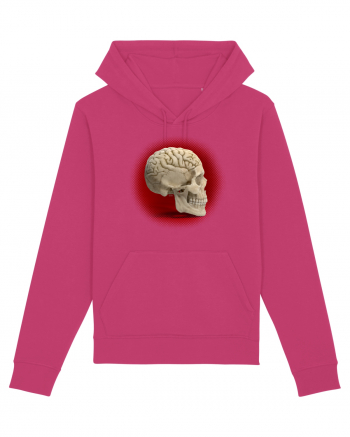 Craniu cu creier - skullbrain Raspberry