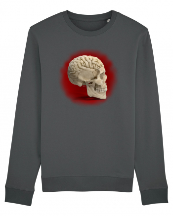 Craniu cu creier - skullbrain Anthracite
