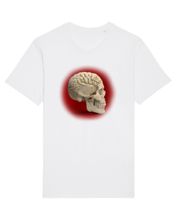 Craniu cu creier - skullbrain White