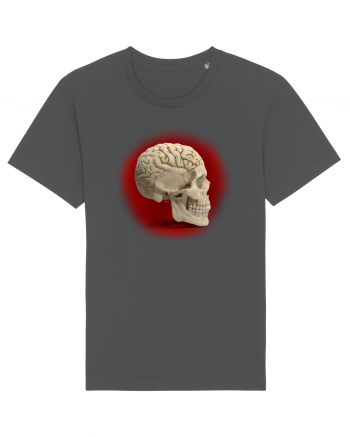 Craniu cu creier - skullbrain Anthracite
