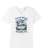 De vară: Calm seas and coconut trees Tricou mânecă scurtă guler V Bărbat Presenter