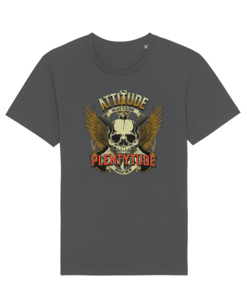 Attitude matters - Plentytude rocks Anthracite