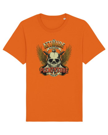 Attitude matters - Plentytude rocks Bright Orange