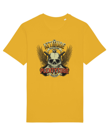 Attitude matters - Plentytude rocks Spectra Yellow