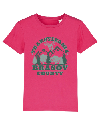 Transylvania Brasov County Raspberry