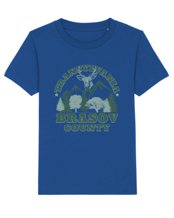 Transylvania Brasov County Majorelle Blue