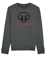 Right you are Bluză mânecă lungă Unisex Rise