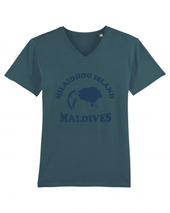 Milaidhoo Island Maldives Stargazer