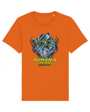 Pentru montaniarzi - Man vs mountain - Moldoveanu Bright Orange