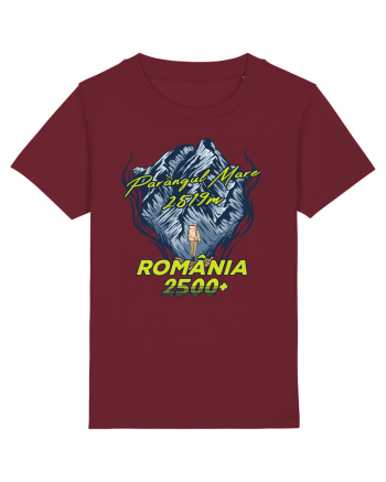 Pentru montaniarzi - Man vs mountain - Parângul Mare Burgundy