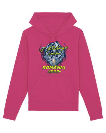 Pentru montaniarzi - Man vs mountain - Peleaga Raspberry