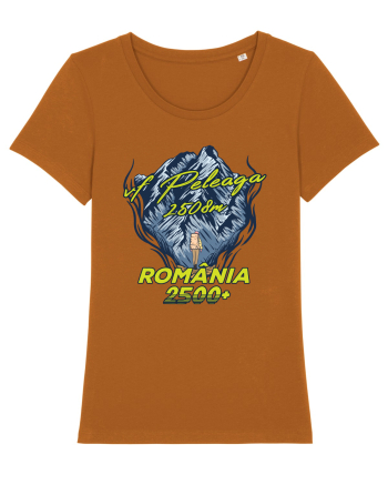 Pentru montaniarzi - Man vs mountain - Peleaga Roasted Orange