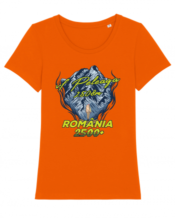Pentru montaniarzi - Man vs mountain - Peleaga Bright Orange