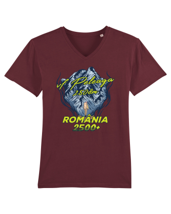 Pentru montaniarzi - Man vs mountain - Peleaga Burgundy