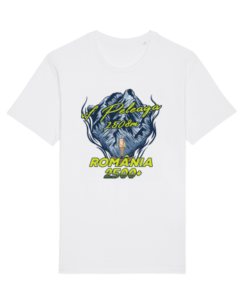 Pentru montaniarzi - Man vs mountain - Peleaga White