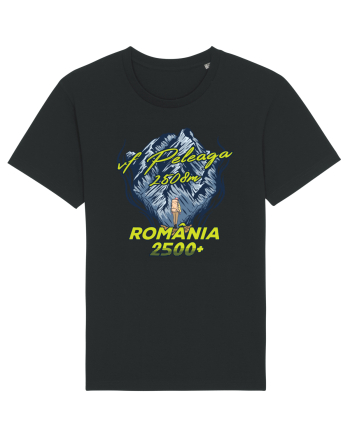 Pentru montaniarzi - Man vs mountain - Peleaga Black