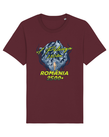 Pentru montaniarzi - Man vs mountain - Peleaga Burgundy