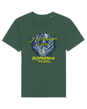 Pentru montaniarzi - Man vs mountain - Peleaga Bottle Green