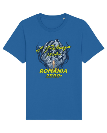 Pentru montaniarzi - Man vs mountain - Peleaga Royal Blue