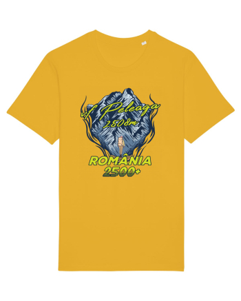 Pentru montaniarzi - Man vs mountain - Peleaga Spectra Yellow