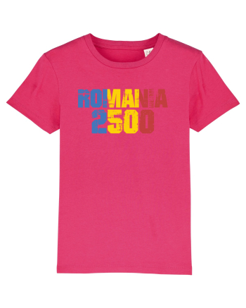 Pentru montaniarzi - Romania 2500 Raspberry