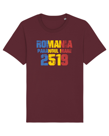 Pentru montaniarzi - Romania 2500 - Parângul mare Burgundy