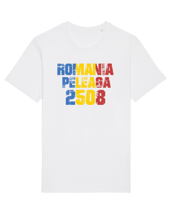 Pentru montaniarzi - Romania 2500 - Peleaga White
