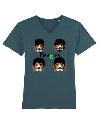The Beagles Stargazer