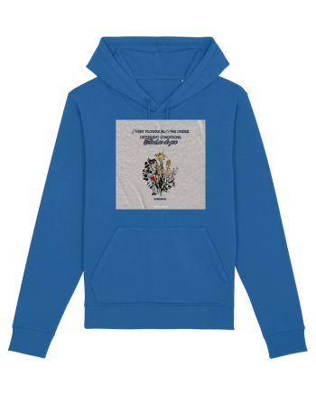 Every flower blooms under different conditions Royal Blue
