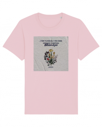 Every flower blooms under different conditions Cotton Pink