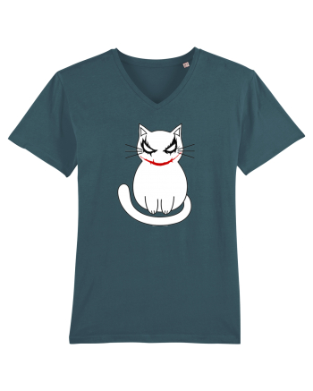 Kitty Stargazer