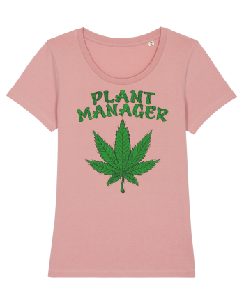 Plant Manager Trippy Green Canyon Pink