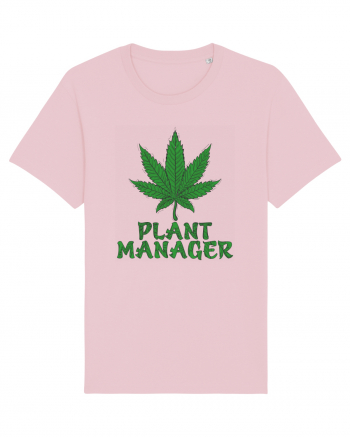 Plant Manager Cotton Pink
