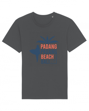 Padang Padang Beach Bali Anthracite
