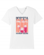 Pink Beach Indonesia Tricou mânecă scurtă guler V Bărbat Presenter