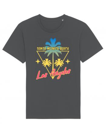 Santa Monica Beach Los Angeles Anthracite