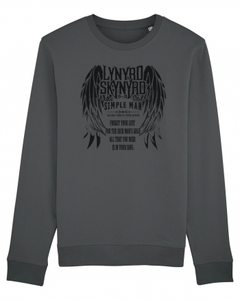 All you need is your soul - Lynyrd Skynyrd 1 Anthracite